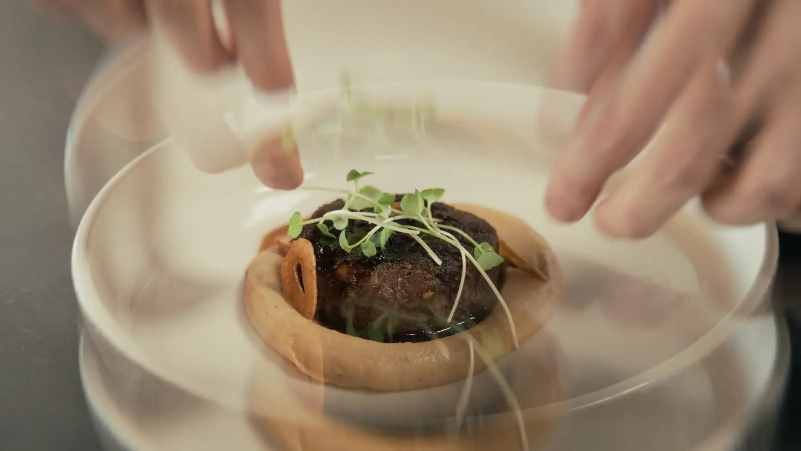 Hands plating oxtail with cauliflower cream, sprouts and garlic chips